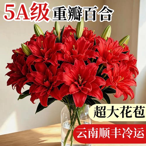 精品重瓣红香水百合鲜花云南直发