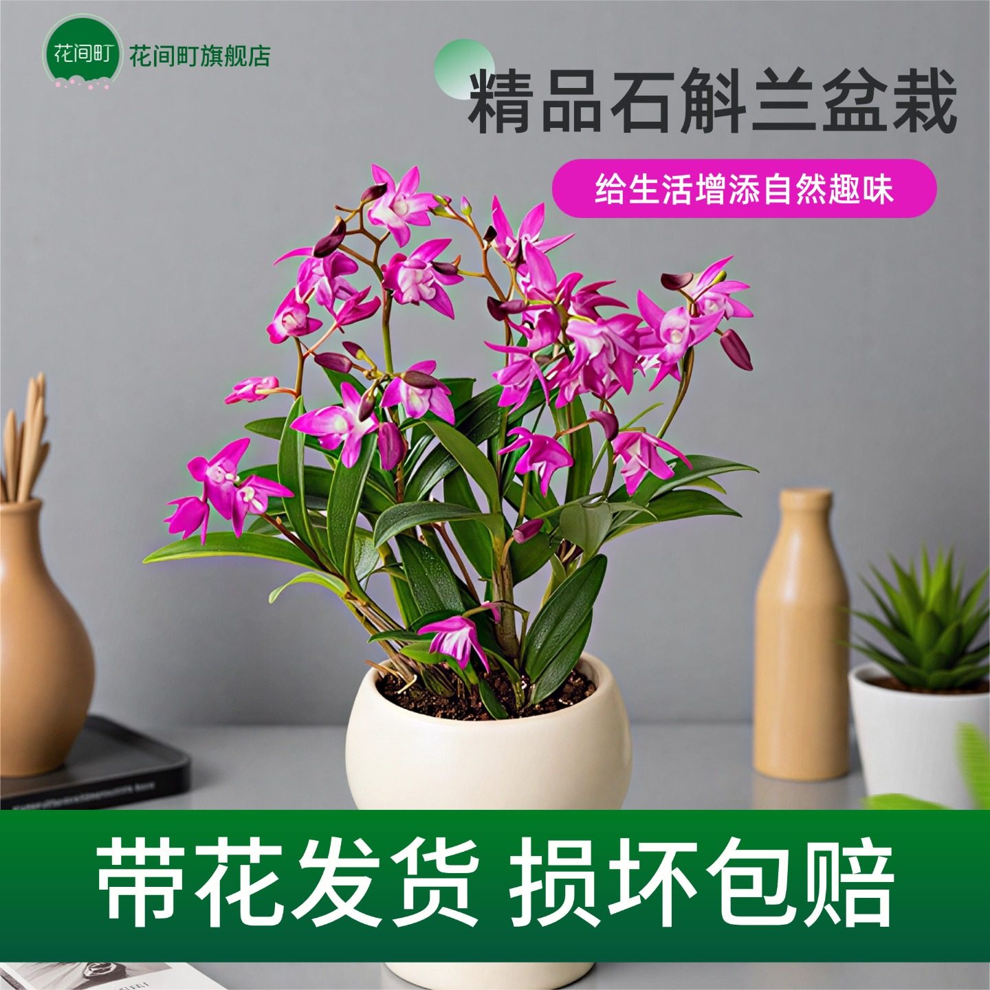 七彩香水石斛兰盆栽带花水培四季开花浓香型室内客厅桌面花卉好养,鲜花速递/花卉仿真/绿植园艺,时令草本花卉,淘宝优惠券,粉丝福利购,淘宝优惠卷