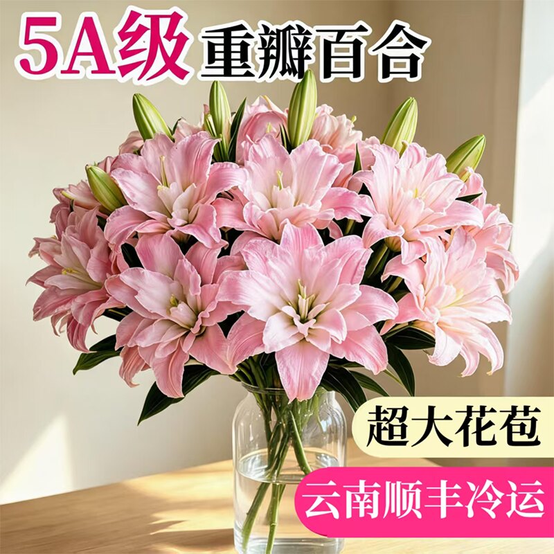 精品重瓣粉香水百合鲜花云南直发图片