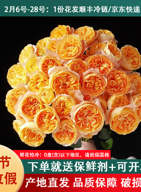 多头小玫瑰鲜花橙色芭比多头玫瑰家用水养云南基地直批发多头泡泡