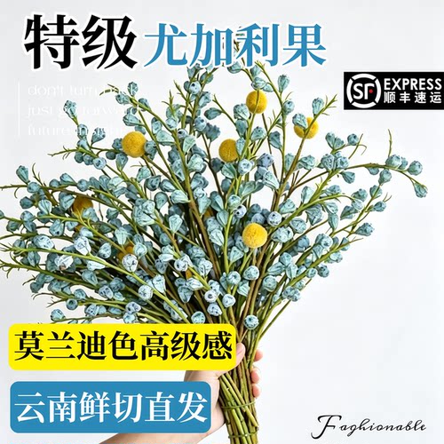 钻石尤加利果鲜花干花干果真花鲜