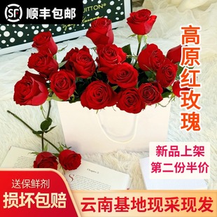 A级高原红传奇红玫瑰鲜花云南昆明斗南市场基地直批直发家用水养