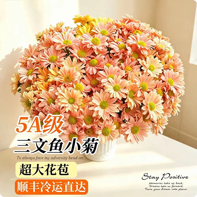 云南小雏菊鲜花玫瑰百合桔梗