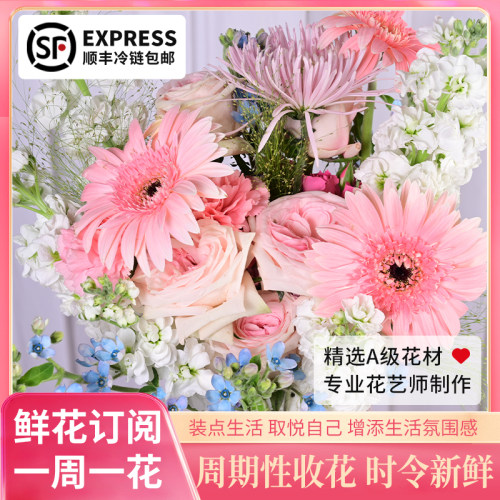 一周一花鲜花订阅鲜花配送