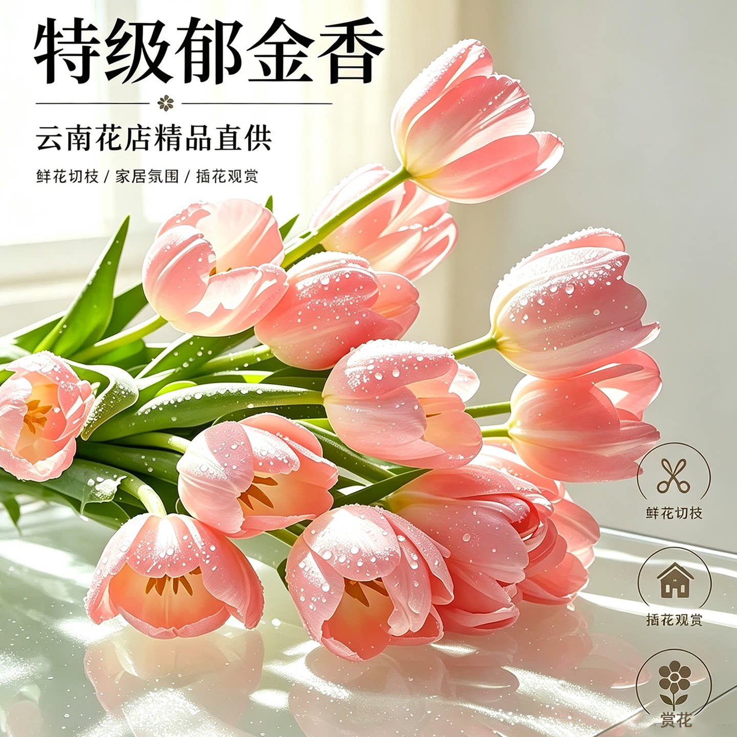 特级郁金香鲜花鲜切真花云南直发水养花卉花束家用插花同城次日达