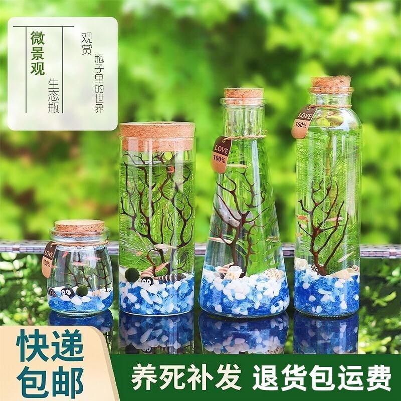 速发微观生态造 自循环鱼瓶免打理生态鱼缸观赏鱼缸瓶景全套桌面