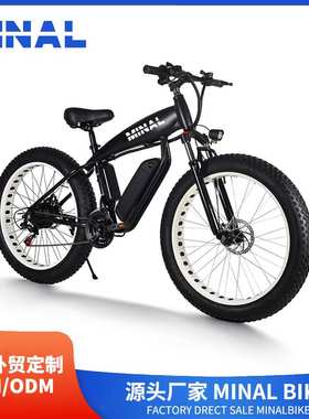 外贸出口MINAL电动自行车FT33 48V350W10.5A 02