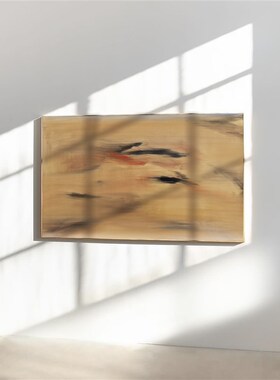 crisis art98抽象画装饰画客厅卧室办公室暖色侘寂风