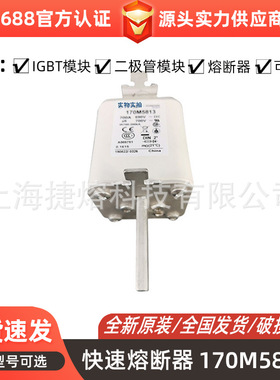 170M5813  170M5959 快速熔断器  保险丝 电子元器件 量大价优