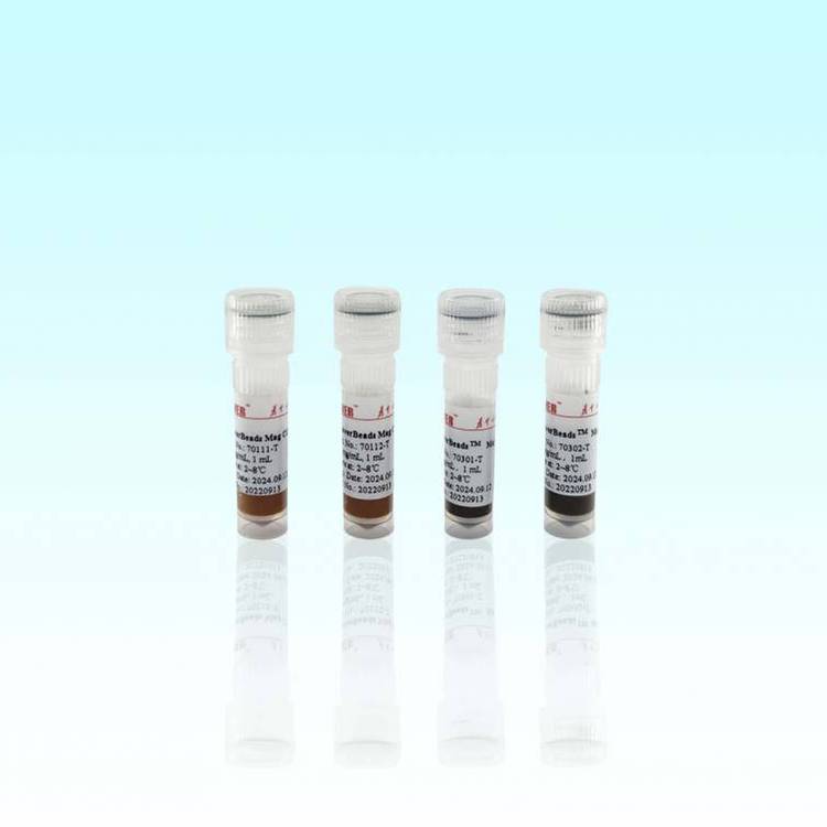 琼脂糖羟基磁珠 海狸Beaver 100 mL, 50%(v/v), 30-150 μm