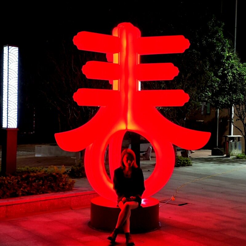 LED3D春字花灯新年元宵大型户外彩灯亮化装饰商场春节摆件文旅