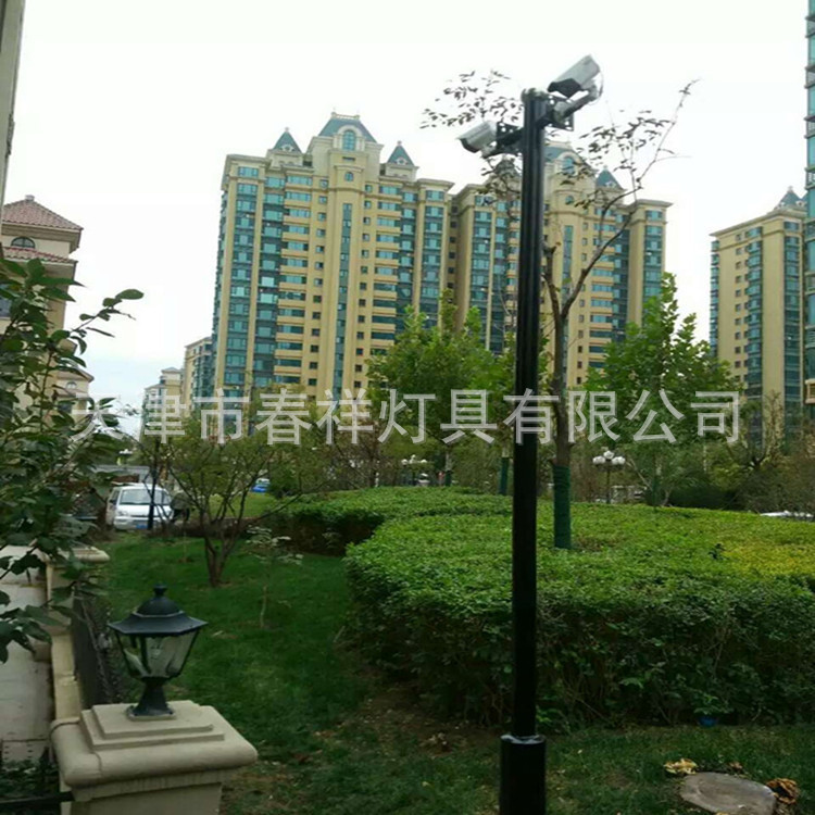 天津春祥灯具多种规格户外道路3米(双挑臂)180度监控杆