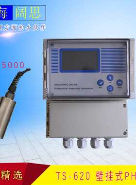 Apure浊度控制器TS-620/TD-5000工业电极污泥浓度计浊度测试仪