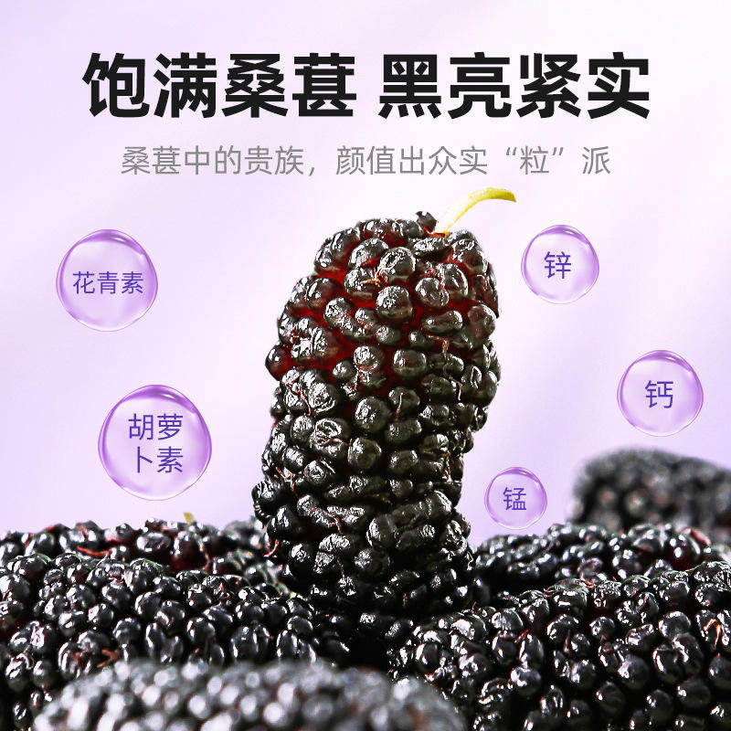 杞里香桑葚干攀枝花桑葚干200g瓶装黑桑葚手选桑椹干花果茶