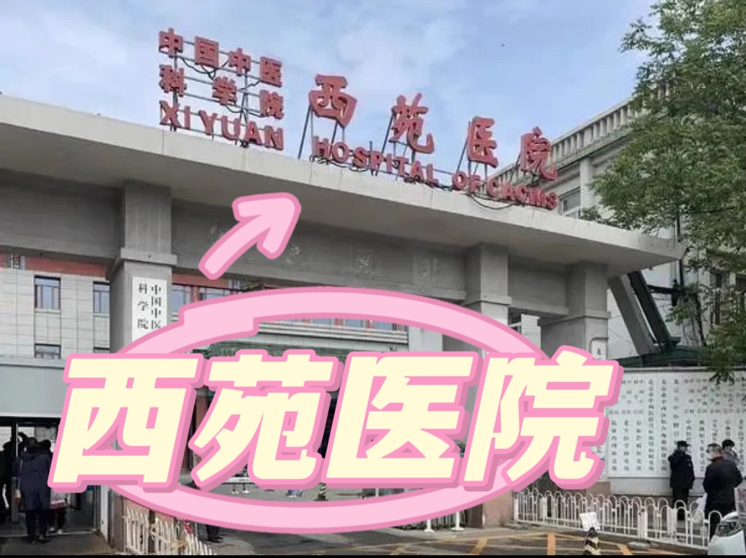 中国中医科学院西苑医院、复方北京西苑医院酸陪诊跑腿枣代购 仁