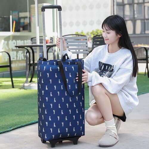 加大拉杆购物车手拉买菜车可拆卸折叠小拉车Q家用神器拖车取快递