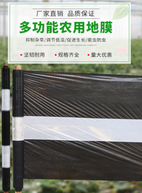 农用黑白相间地膜双白单白地x膜银黑双色反光膜草莓果树保温薄膜