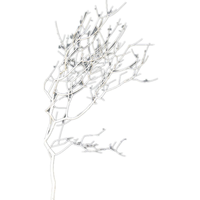 干树枝干枝干树枯树装饰白色树摆件树杆仿真树枝假树Y枝道具装饰