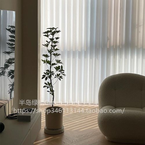 造型鸭脚木客厅大盆栽鸭掌木鹅掌柴室内落地式Q大型四季常青绿植