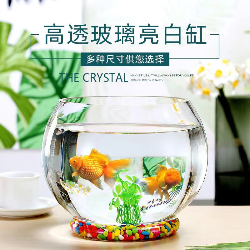 速发简约大号玻璃花瓶透明创意圆球绿萝室内鱼缸圆形水培水养植物