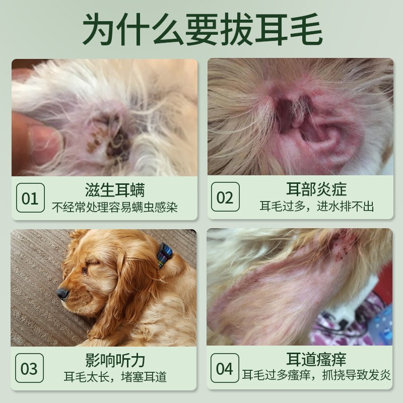 速发拔耳毛钳拔耳毛粉洁耳咪毛夹泰迪比熊耳朵耳道清猫止血