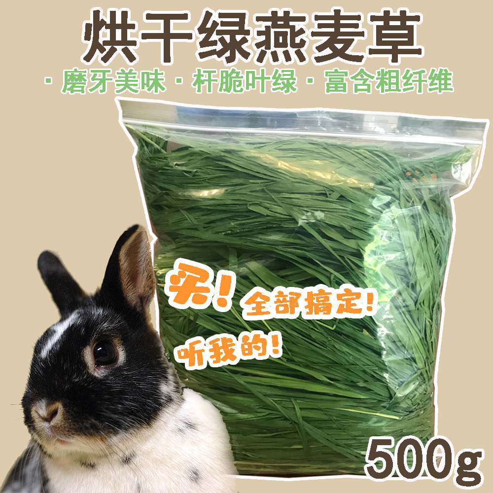 速发25年烘干绿燕麦草多叶烘烤干草兔草兔子燕麦草高纤维兔粮500g