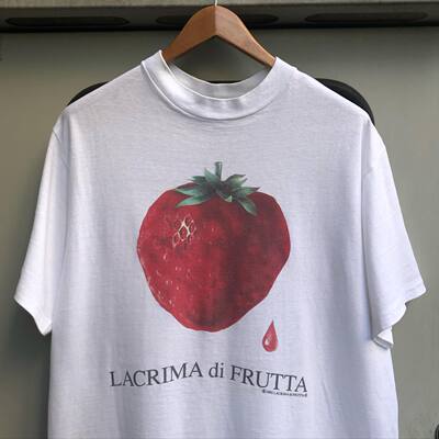T恤宝藏库！草莓水果氛围感oversize短袖无性别纯棉重磅圆领T恤