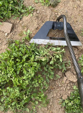 除草神器锄头农用老式锄草多功能全钢菜刀锄农具种菜种花园艺工具