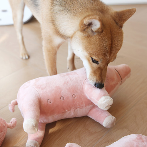狗狗玩具毛绒耐咬自嗨解闷神器发泄宠物玩偶陪睡猪猪发情发泄玩具