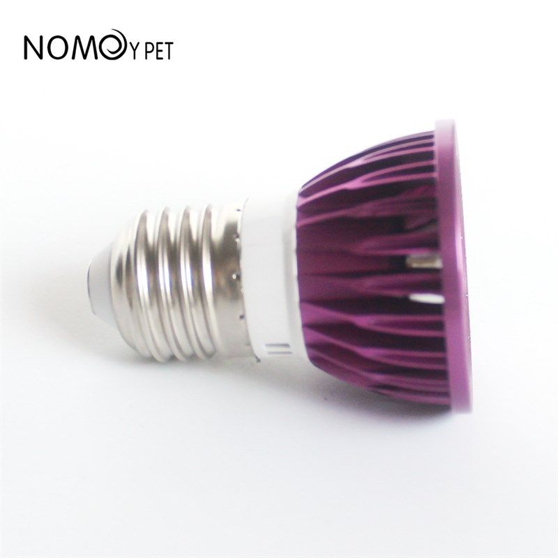 爬宠爬虫LED灯节能夜灯角蛙夜间照明鬃狮守宫蜥蜴饲养箱仿月光灯,宠物/宠物食品及用品,爬宠灯具,淘宝优惠券,粉丝福利购,淘宝优惠卷