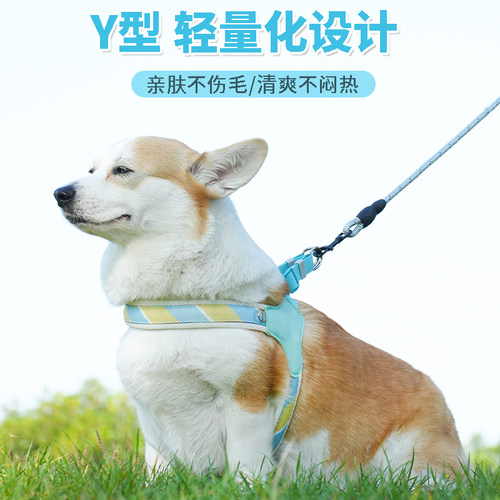 狗狗的牵引绳Y字型可调节防爆冲宠物胸背带中小型犬背心式遛狗绳