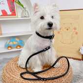 狗狗牵引绳猫咪狗绳子狗链遛猫绳小狗宠物用品遛狗网红比熊小型犬