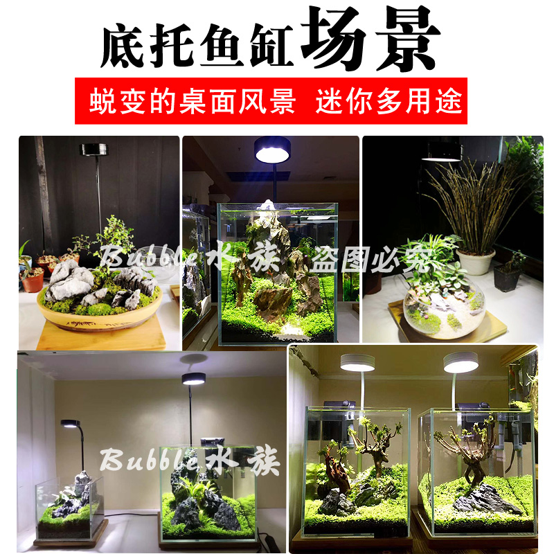 水族箱超白玻璃鱼缸底托套装带灯客厅桌面小型乌龟金鱼缸厂家定制