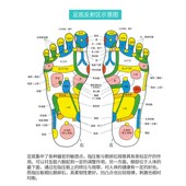 鹅卵石脚底按摩垫指压板足底按摩垫通经络脚踩款 超慢跑石子路地垫