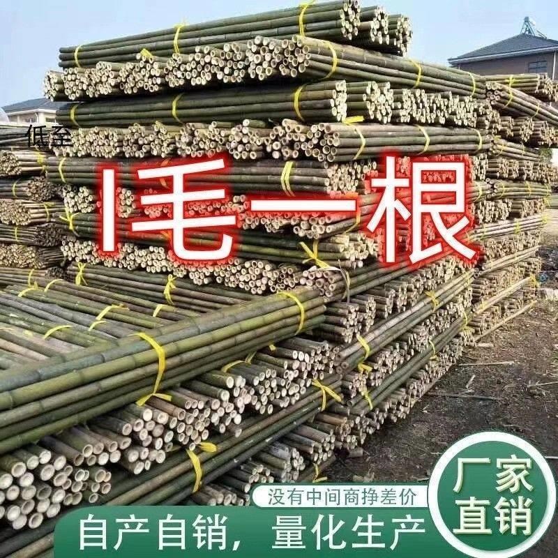 速发竹竿菜园搭架竹栏杆角瓜四季豆番茄篱笆围子旗杆爬藤架豆黄绑