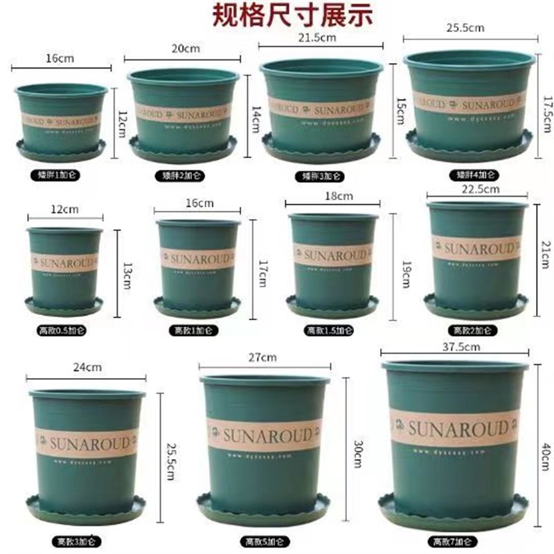 速发花大塑料盆台绿萝小盆栽号盘特大托加仑树脂多肉