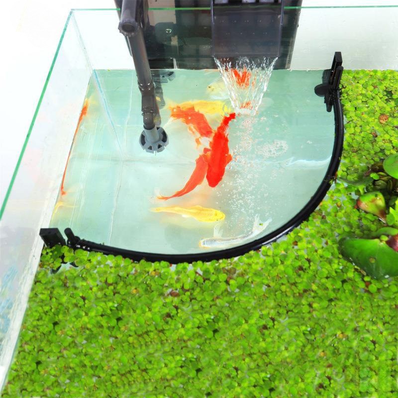 速发鱼缸投食圈喂食器水族圈鱼食投食器浮力投喂箱漂浮喂食圈器防