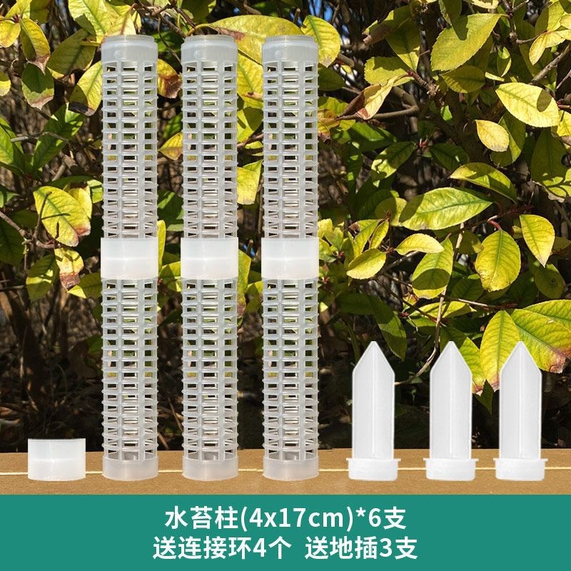 速发水苔柱可爬藤植物攀附柱蔓植热绿绒绿萝支背竹攀爬柱固定龟架