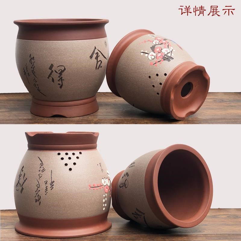 速发宜兴紫砂盆君子兰虎皮花花盆盆兰兰砂紫盆多肉花盆