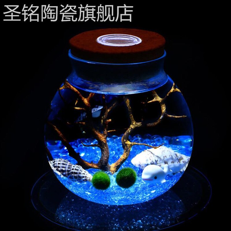 速发新款海藻球态生瓶罐灯微景观生态瓶软木塞带灯圆形玻璃密封带
