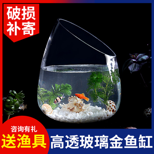 速发鱼物培植形花瓶透明斜口圆缸斜口绿萝水培花盆水培器皿水族