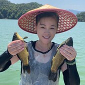 黄金鲫鱼千岛湖直发包活到家活鱼土鲫鱼顺丰 包邮 生态非养殖生态鱼