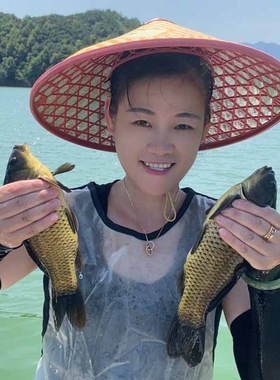 黄金鲫鱼千岛湖直发包活到家活鱼土鲫鱼顺丰包邮生态非养殖生态鱼