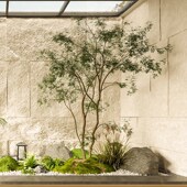 大型鸡爪槭仿真假树造q景绿植装 饰植物室内餐饮商场会所微景观软