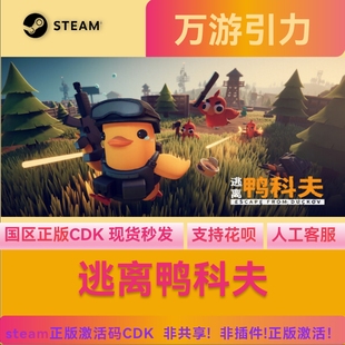 Form Steam正版 Escape 国区CDK激活码 Duckov现货秒发 逃离鸭科夫