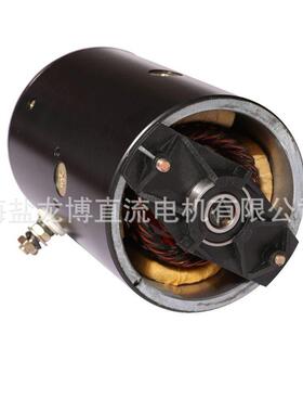W-9993D动力元油泵用直流有刷海盐龙博电机1200w12v24V