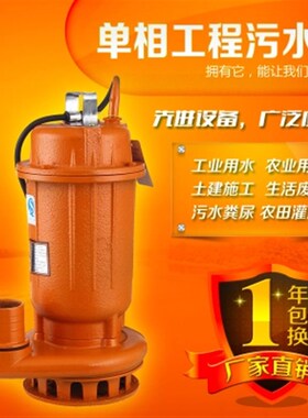 家用220V单相污水泵排污泵泥沙泵泥浆泵潜水泵家U用抽化粪池抽水