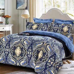 品牌全棉拉舍尔长绒棉面磨毛大号双人加E厚保暖四件套1.5m1.8m床