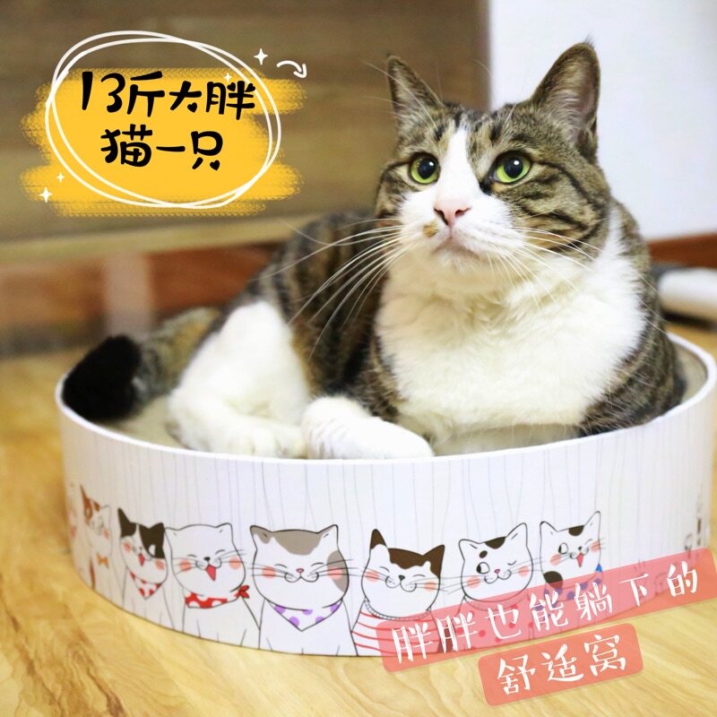 得酷碗形圆形圆盘猫抓板瓦楞纸猫窝猫盒子大号玩具猫磨爪沙发包邮