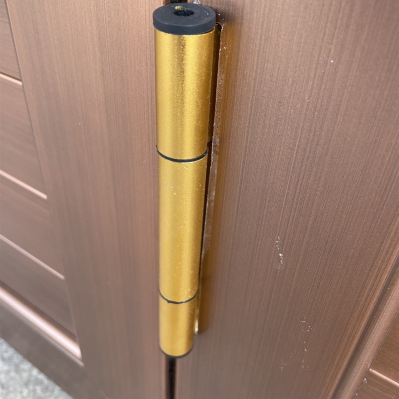 古铜色纱门金刚网平开带锁自动闭门黑色入户大门高清高端防蚊防鼠